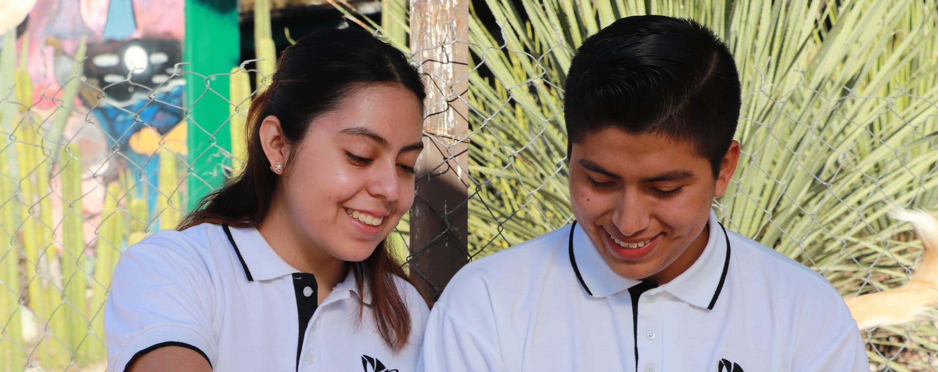Imagen Principal Bachillerato Tecnológico