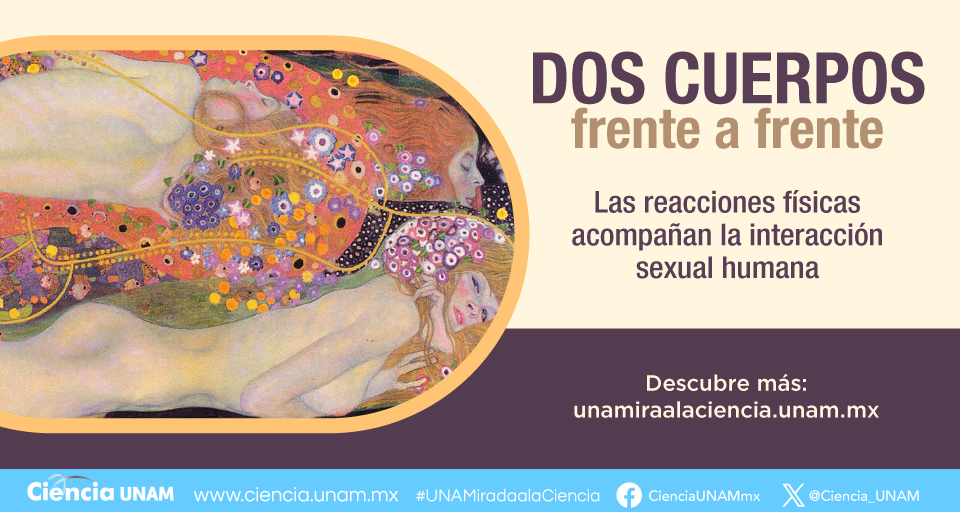 Imagen de Convocatoria