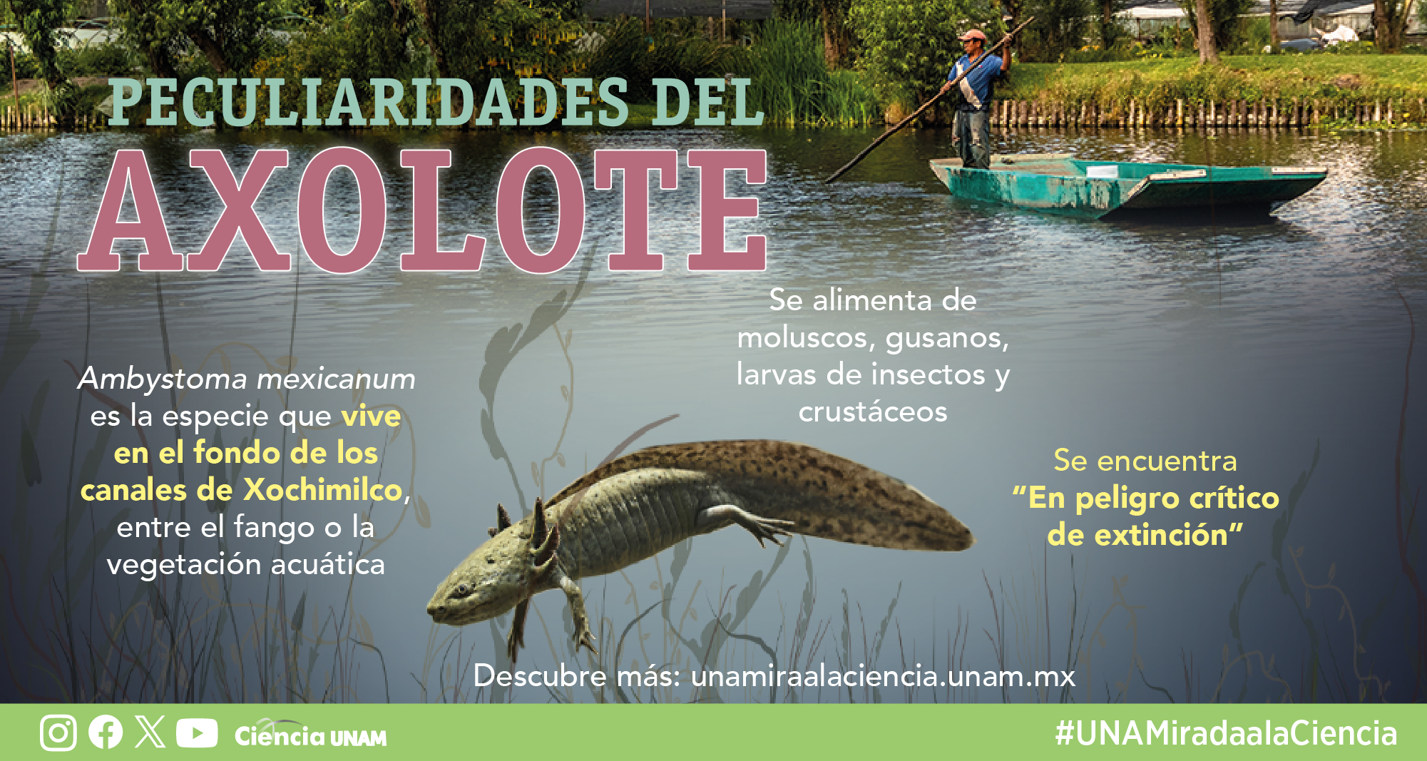Imagen Convocatoria