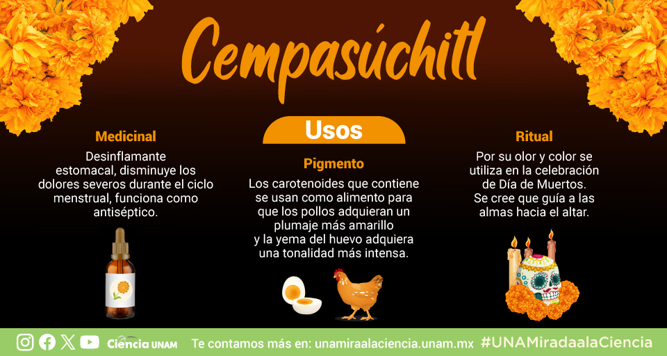 Imagen de Convocatoria