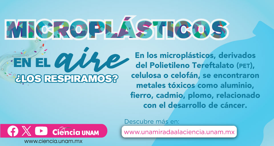 Imagen de Convocatoria